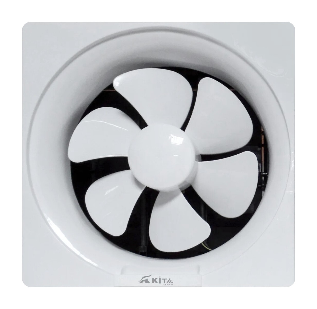 Extractor de aire para pared 30 cm Niza EF12P